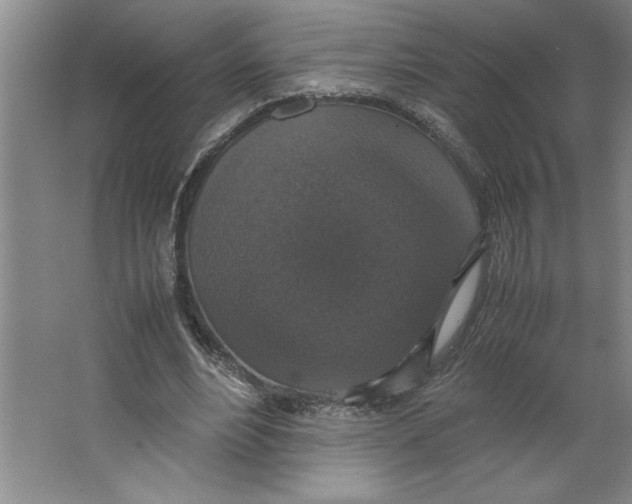X0000062150488200512301557