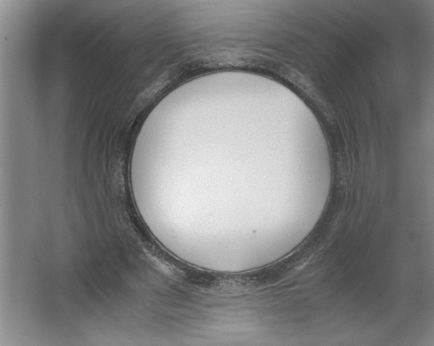 X0000062150489200512301557