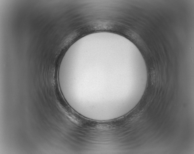 X0000062150490200512301557