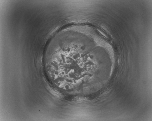 X0000062150491200512301557