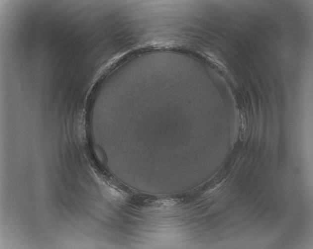 X0000062150492200512301557