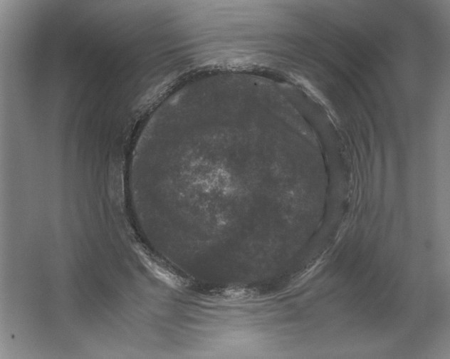 X0000062150493200512301557