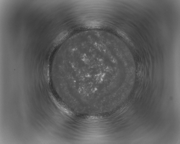 X0000062150494200512301557