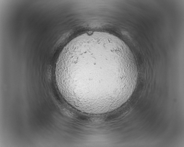 X0000062150495200512301557