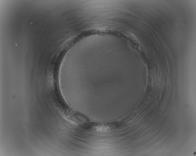 X0000062150500200512301557