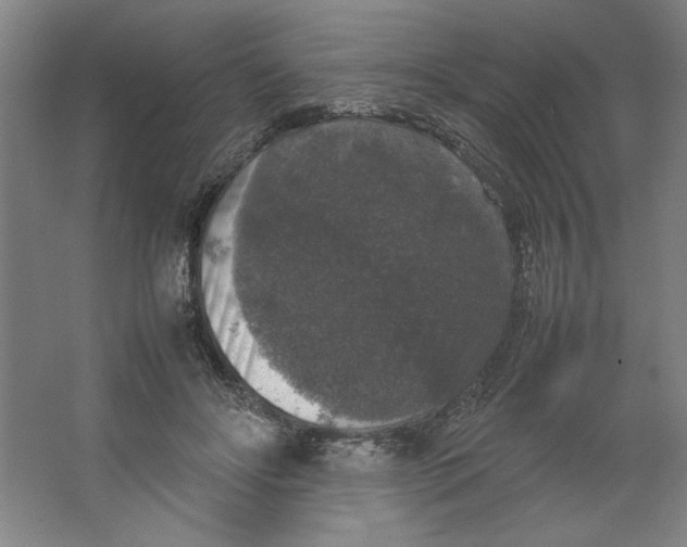 X0000062150502200512301557
