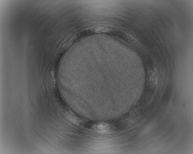 X0000062150506200512301557