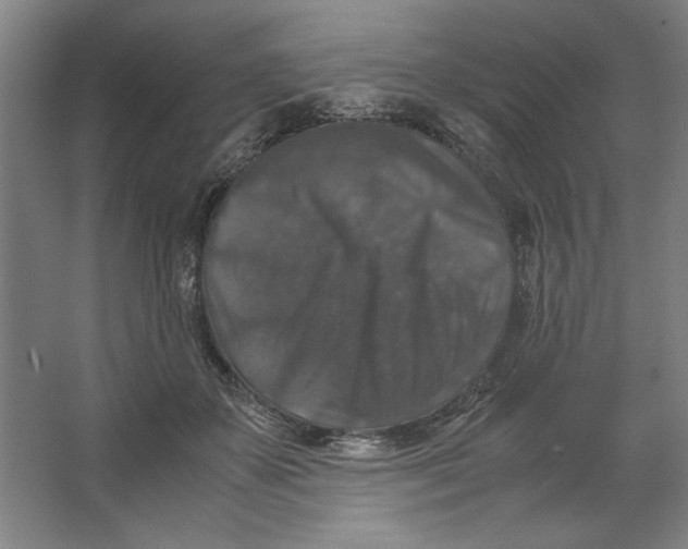 X0000062150507200512301557