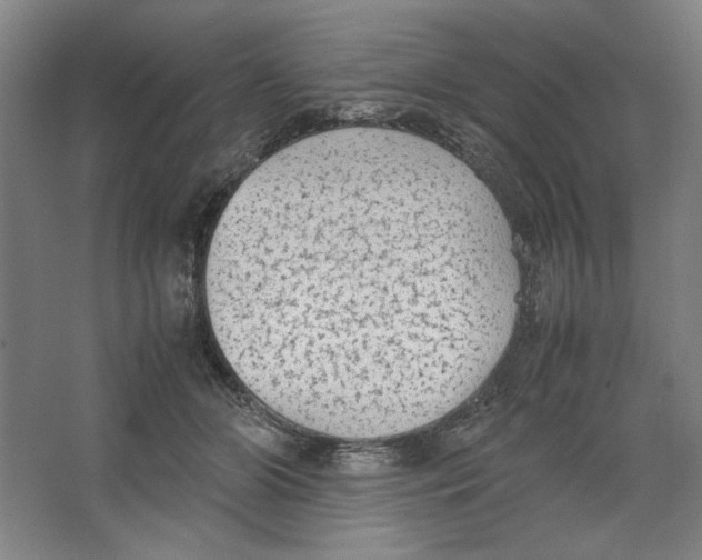 X0000062150510200512301557