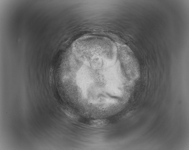 X0000062150511200512301557