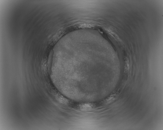 X0000062150513200512301556