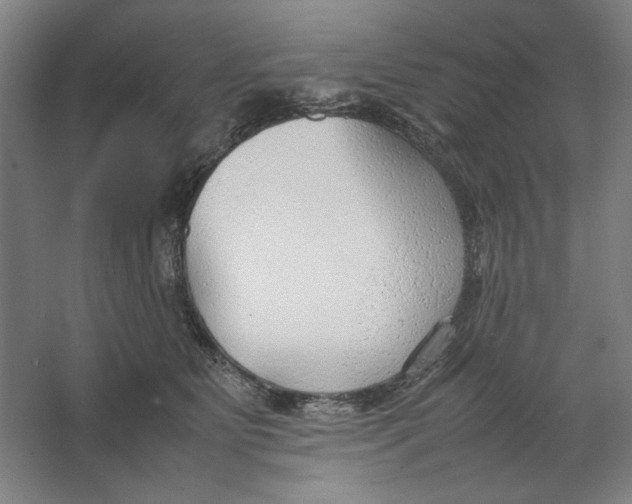 X0000062150515200512301556