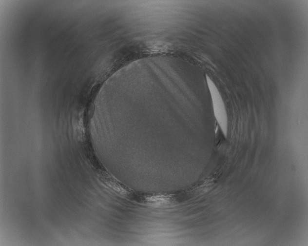 X0000062150516200512301556