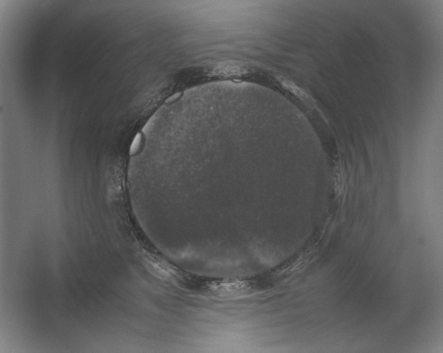 X0000062150517200512301556