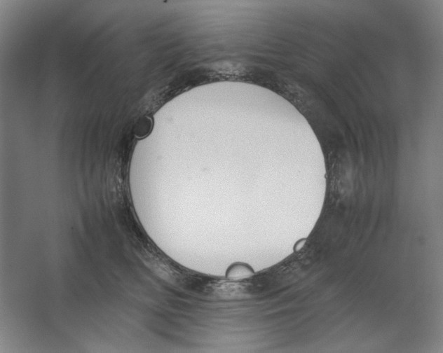 X0000062150518200512301556