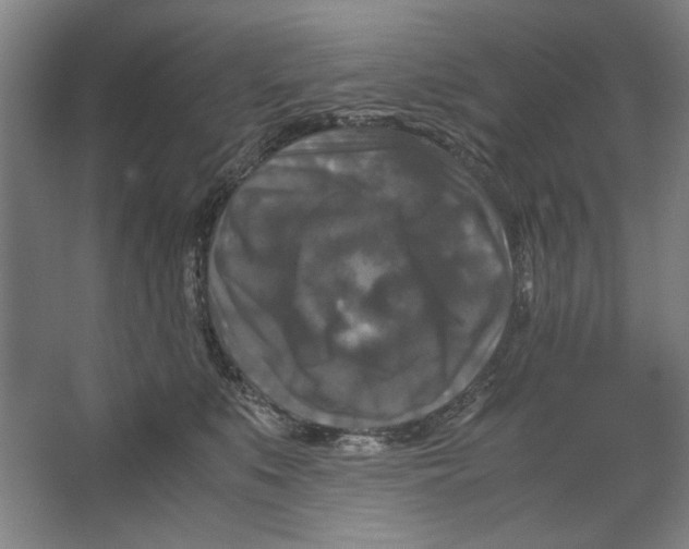 X0000062150519200512301556