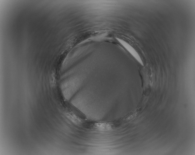 X0000062150520200512301556