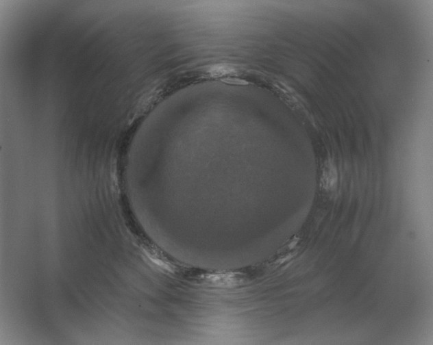 X0000062150524200512301556