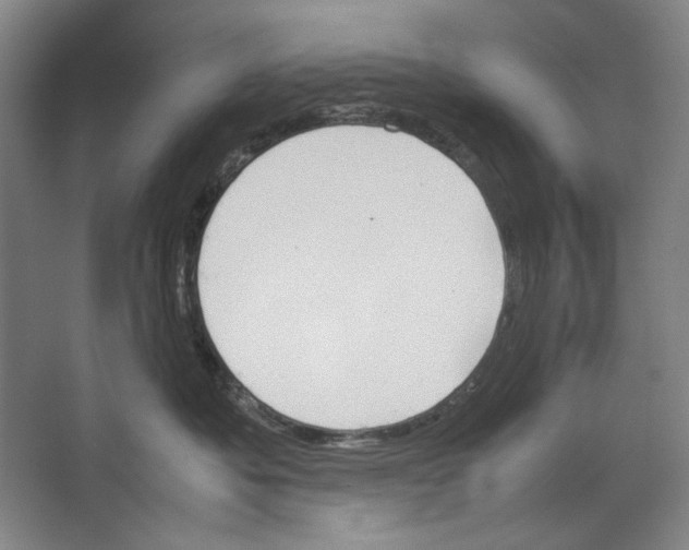 X0000062150525200512301556