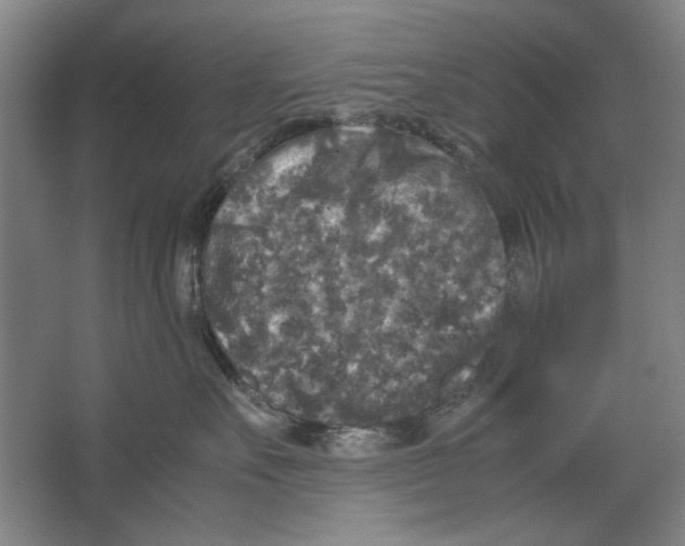 X0000062150527200512301556