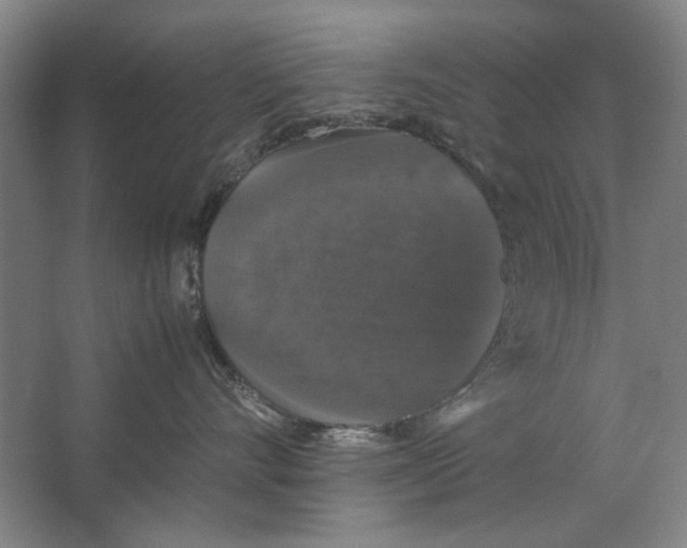 X0000062150528200512301556