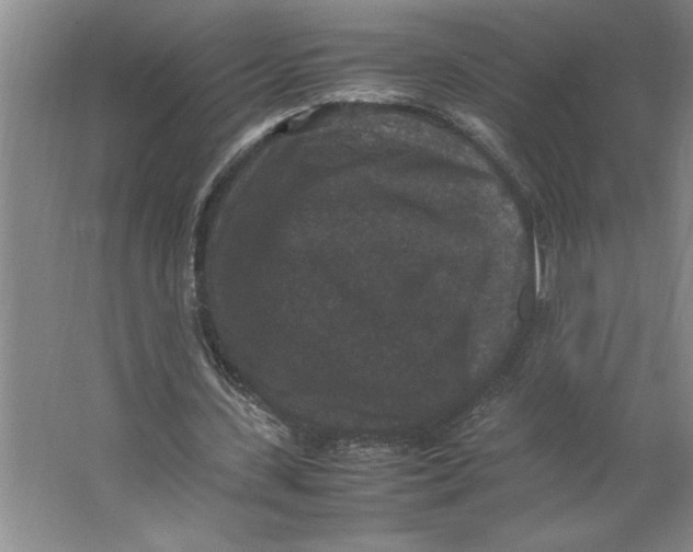 X0000062150531200512301555