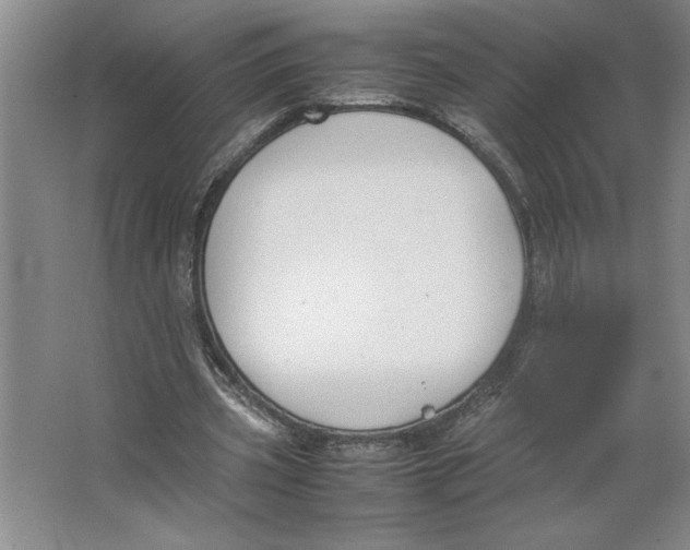 X0000062150533200512301555