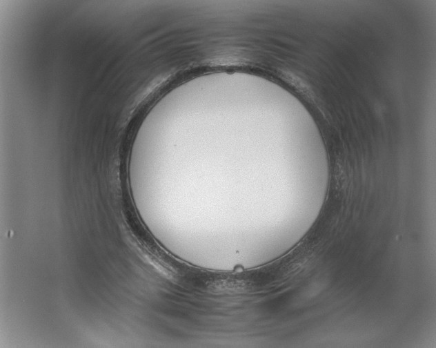 X0000062150535200512301556