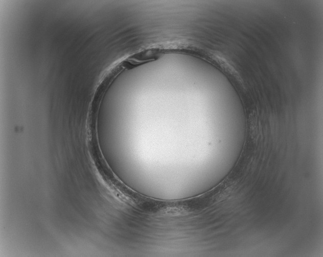 X0000062150536200512301556