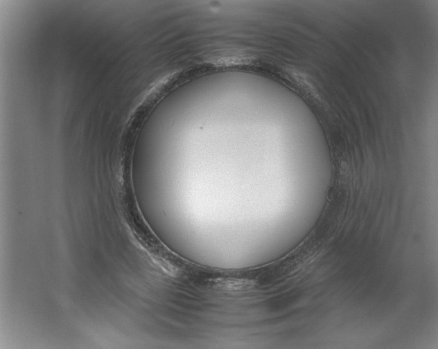X0000062150539200512301556