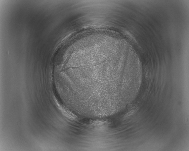 X0000062150542200512301556