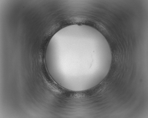 X0000062150546200512301556