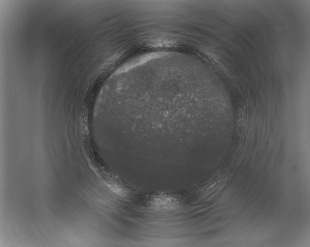 X0000062150547200512301556