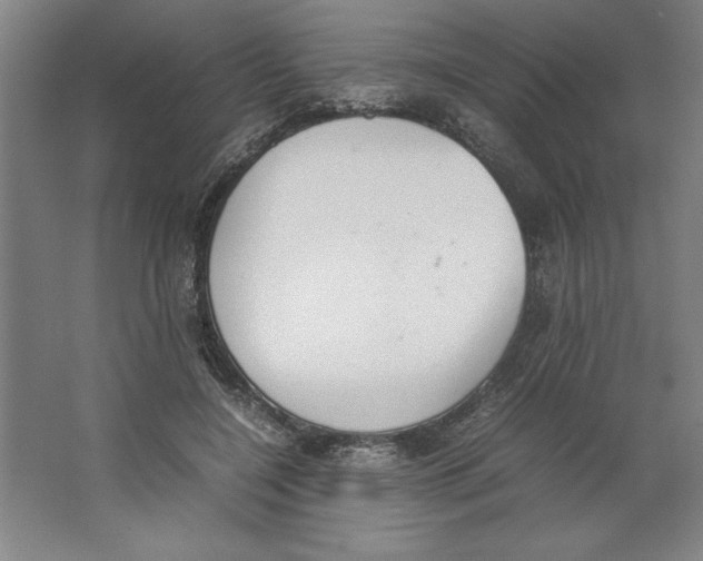 X0000062150548200512301556