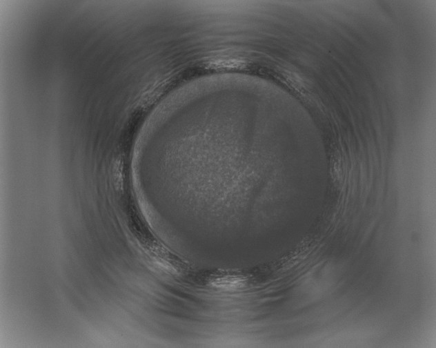 X0000062150551200512301556