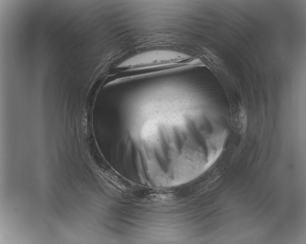 X0000062150552200512301556