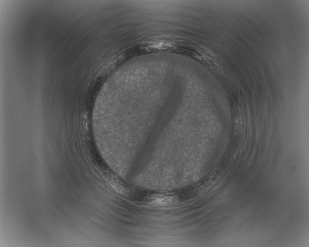 X0000062150555200512301556