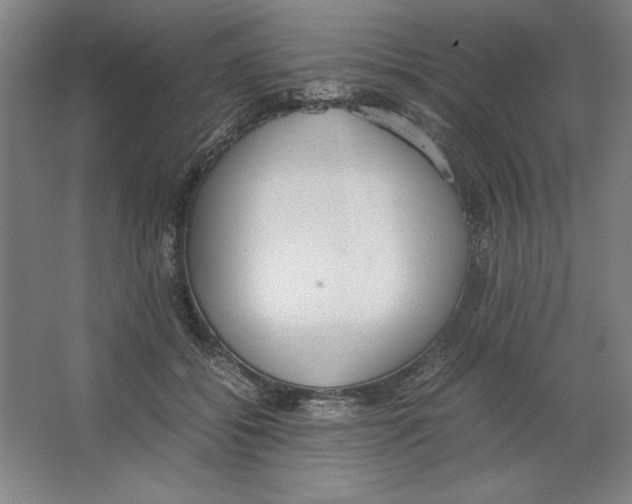 X0000062150556200512301556