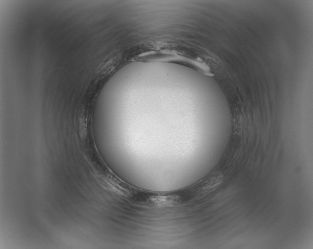 X0000062150558200512301556