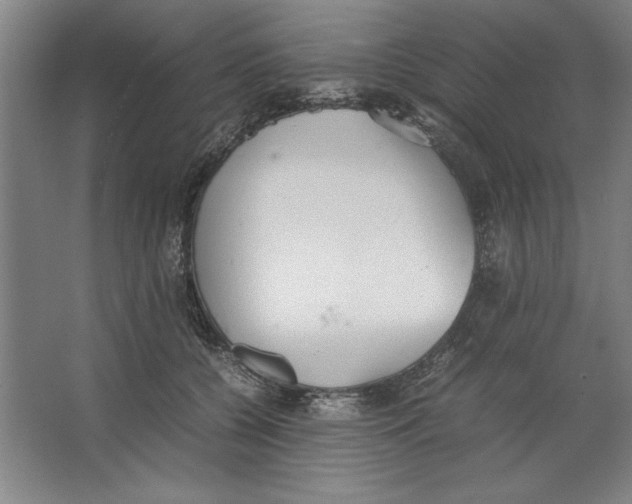 X0000062150560200512301556
