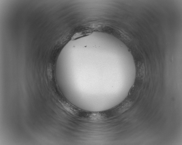 X0000062150562200512301556