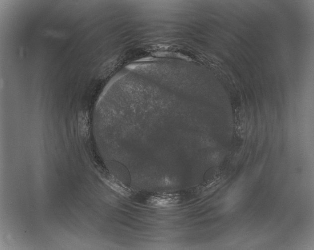 X0000062150563200512301556