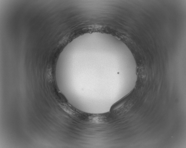 X0000062150564200512301556