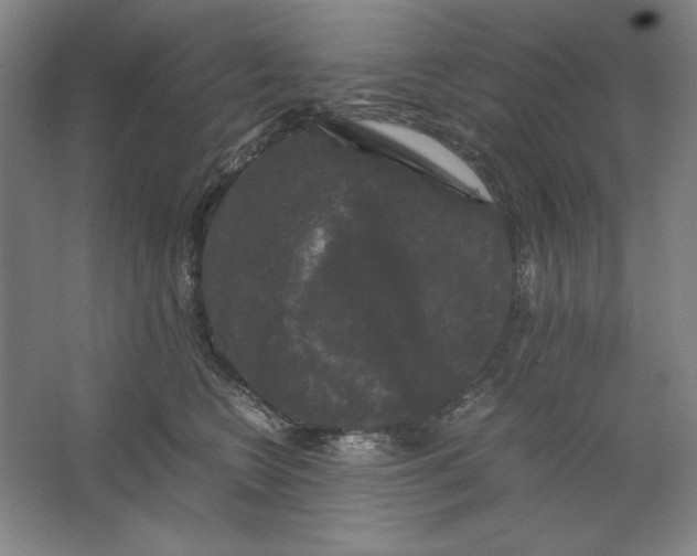 X0000062150566200512301556