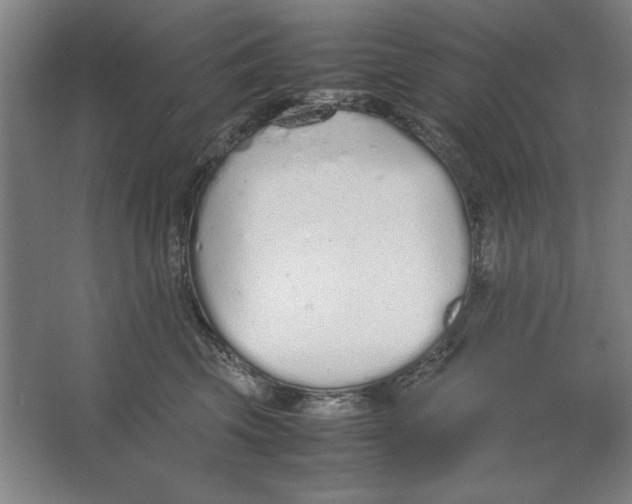 X0000062150569200512301556