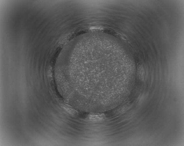 X0000062150571200512301556