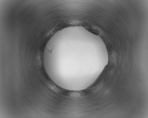 X0000062150572200512301556