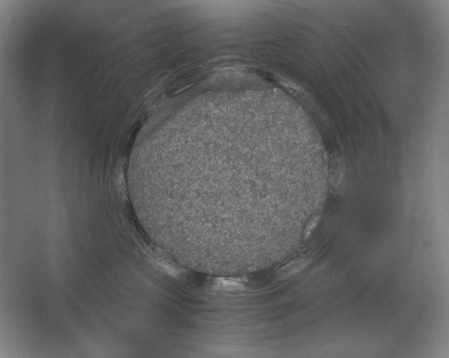 X0000062150573200512301556