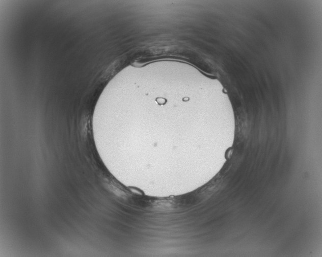 X0000062150574200512301556