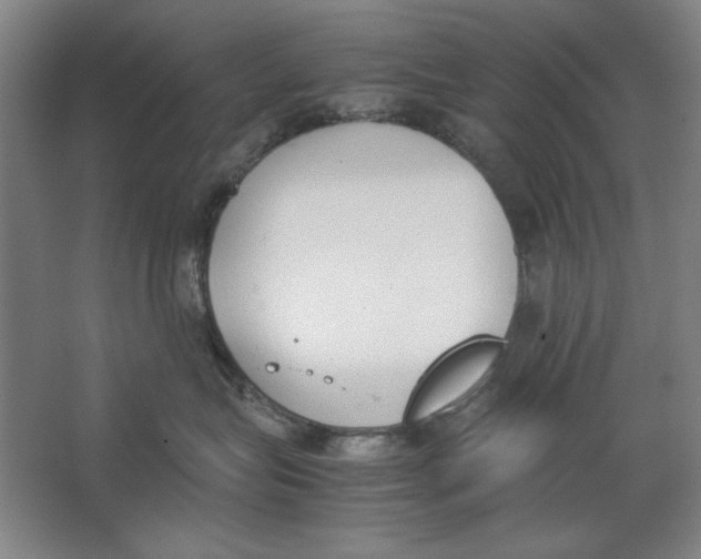 X0000062150575200512301556